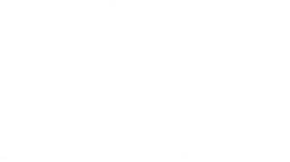 Reykjavik Eyes